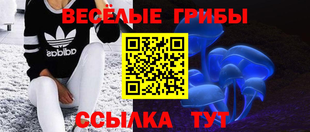 Галлюциногенные грибы MAGIC MUSHROOMS Камышин