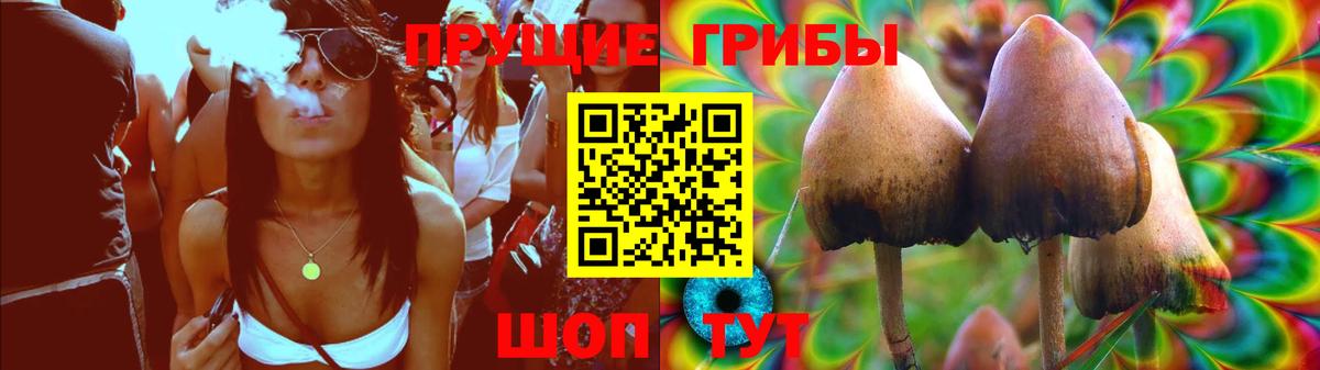 Канабис Камышин